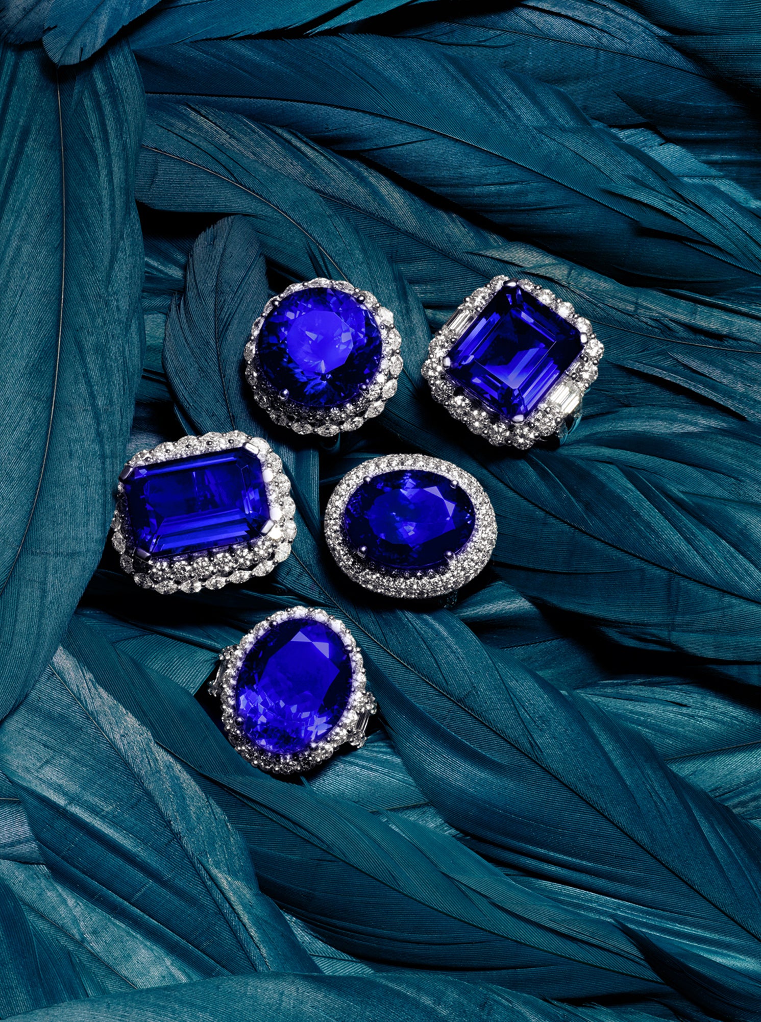five tanzanite and diamond rings against teal blue feathers